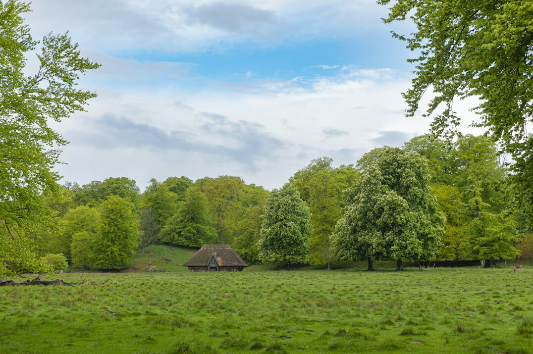 danish countryside interview