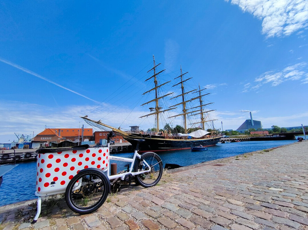 Bicycles parked along a small Danish harbour